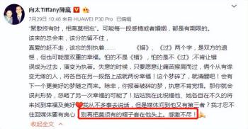 向太因文章、大S，出现2次翻车行为，事件不同但是犯错的原因一样  -图6