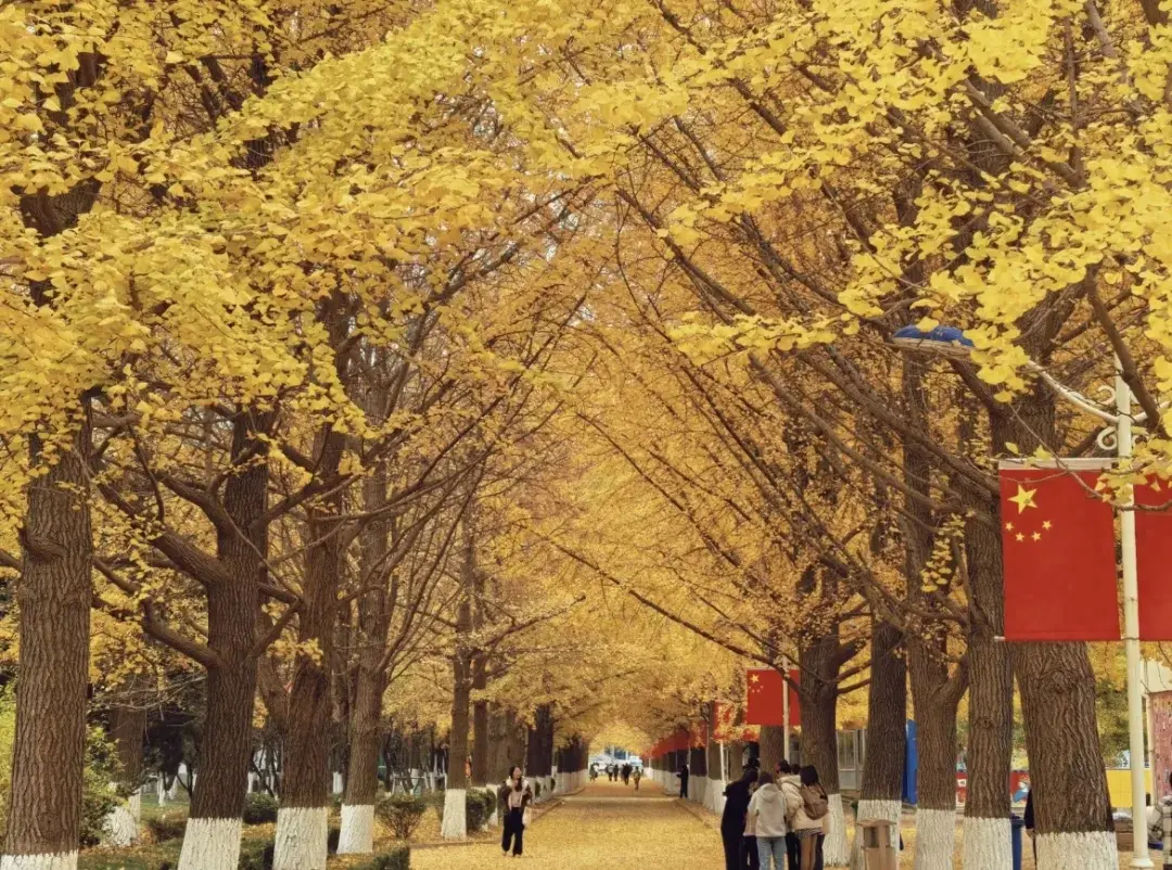 比苏杭还撩人！1000元就能玩爽，水果管够，海鲜管饱，秋景绝美！  -图1