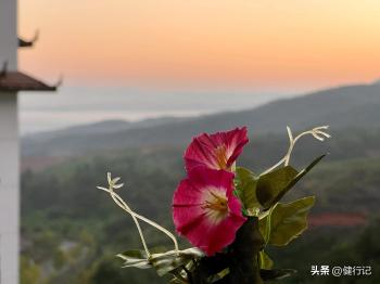 很多人不知道！版纳只有旱季和雨季之分，避寒旅居的最佳季节来了  -图1