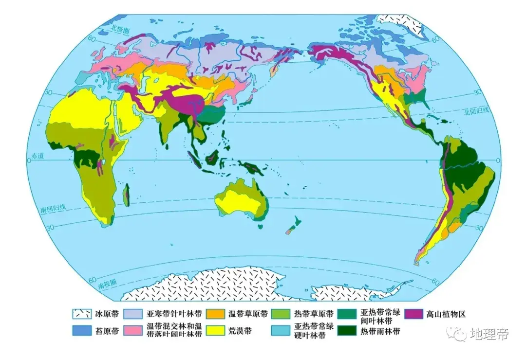 高清地图世界篇  -图9