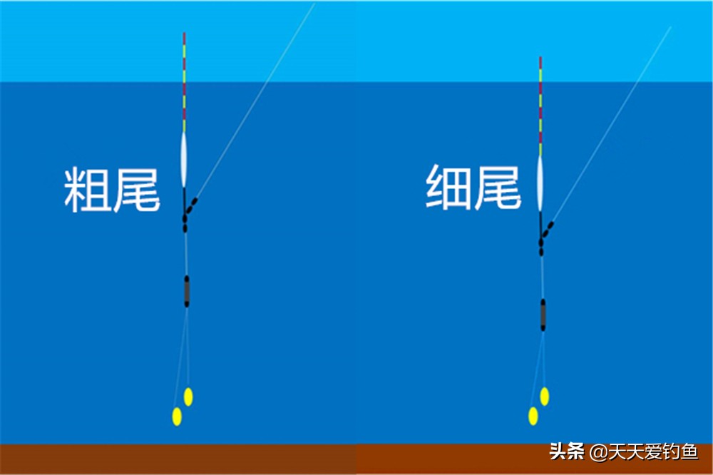 浮漂的选用经验：漂脚越长翻身越快，漂尾越细灵敏度越高  -图5