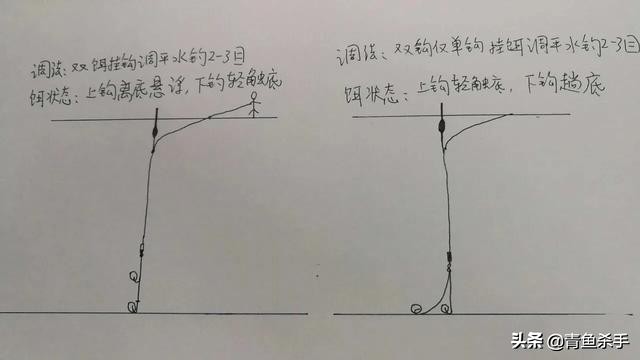 草鱼如何钓？因地制宜，分析鱼情特点正确选择钓底、钓浮是关键  -图2