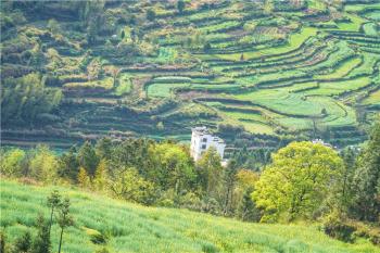 江西婺源旅游，推荐你最值得打卡的六个景点，每一个都很美  -图3