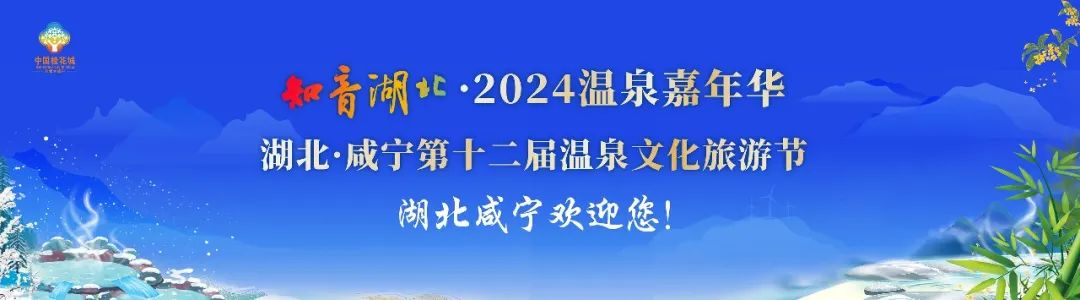 咸宁温泉产业如何发展？听听海内外大咖怎么说——  -图2